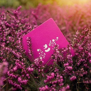 3Д открытка «Розовые цветы»